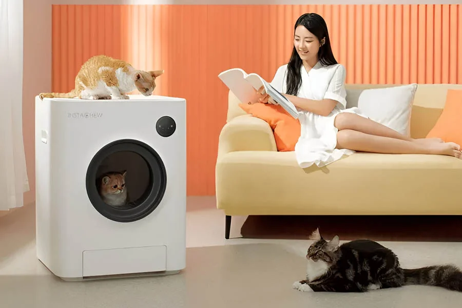 electric cat box